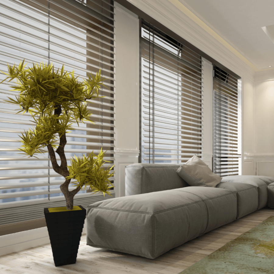 venetian blinds
