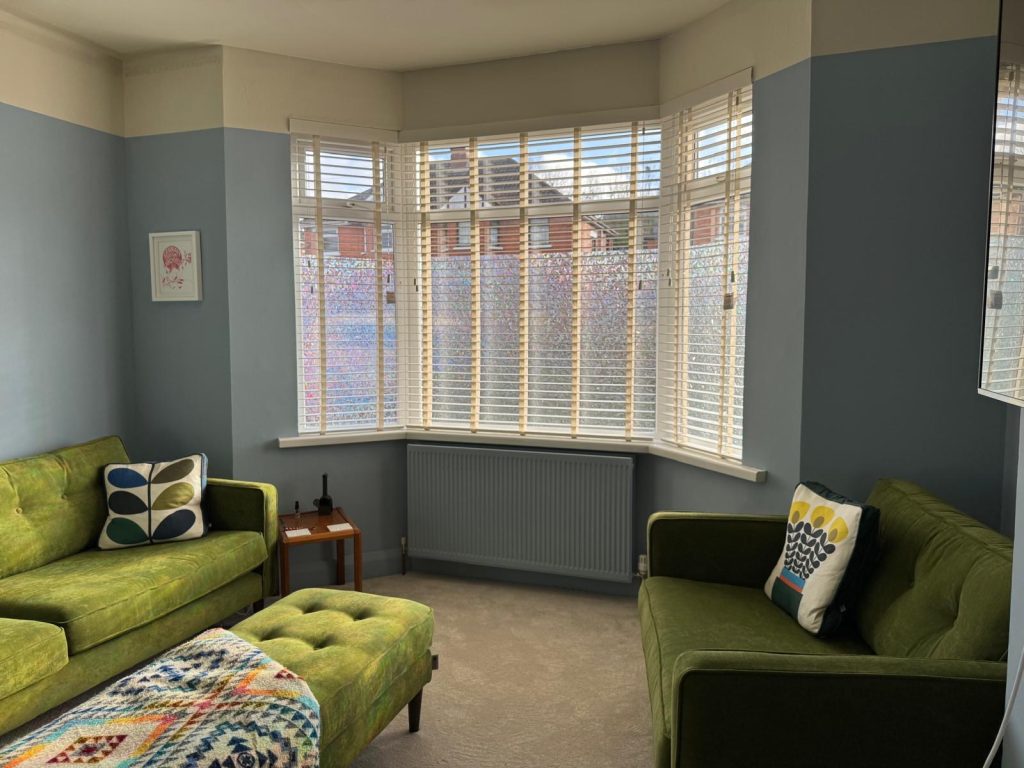 venetian blinds in Belfast living room